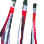 Mexico Flag Windsocks