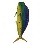 Dorado 48 Fish Windsock