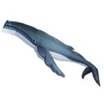 Humpback Big Windsock