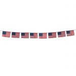 USA Flag String