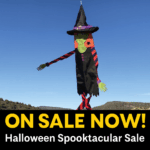 Halloween Witch Sale