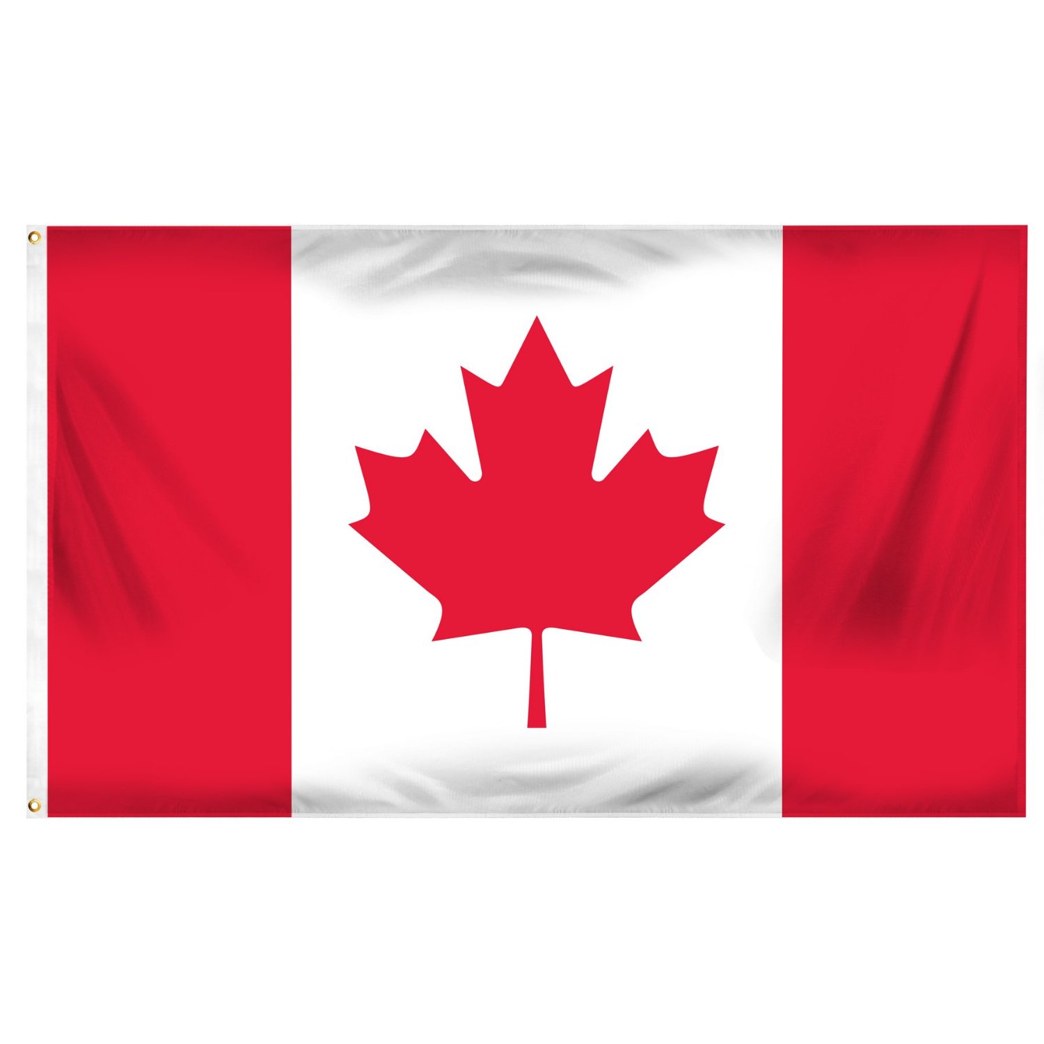 Image result for maple leaf